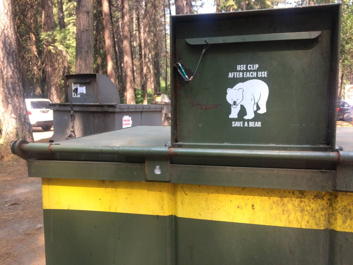 Bear-Proof Camping Items: Your Ultimate Guide to Safety in the Wild